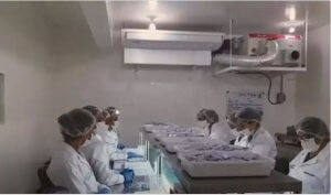 When moisture is torture: Environment control solutions to the rescue in our daily lives