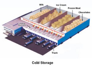 Why India needs an efficient Cold Storage Infrastructures for the food industry