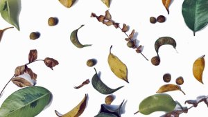 Diversity and inclusion broadens the horizon and enhances effectivity