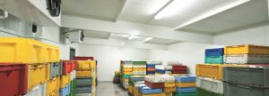 How cold chain is rendering a resilient food processing industry