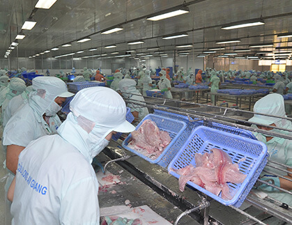 Sea Food Processing & Meat Poultry