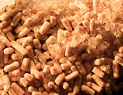 Yeast Drying