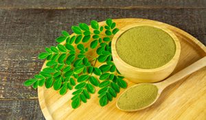 MORINGA LEAVES DRYING PROBLEMS- HOW BRY-AIR DEHUMIDIFIERS SOLVE THE PROBLEM OF MAUSWAG AGRIBUSINESS INC. (MAI), PHILIPPINES