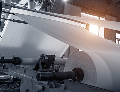 Pulp and Paper/Printing