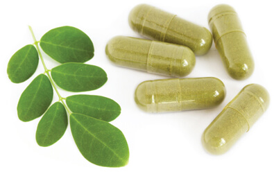 Moringa Leaves