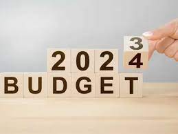 Interim Budget Focuses On Sustainable Development To Meet Net-Zero Targets By 2070