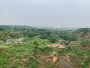 Bry-Air Launches Eco Restoration Project To Enrich Biodiversity Of Aravalli Nagar Van