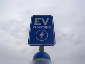 What the Indian EV, Renewable sector expects from 2025